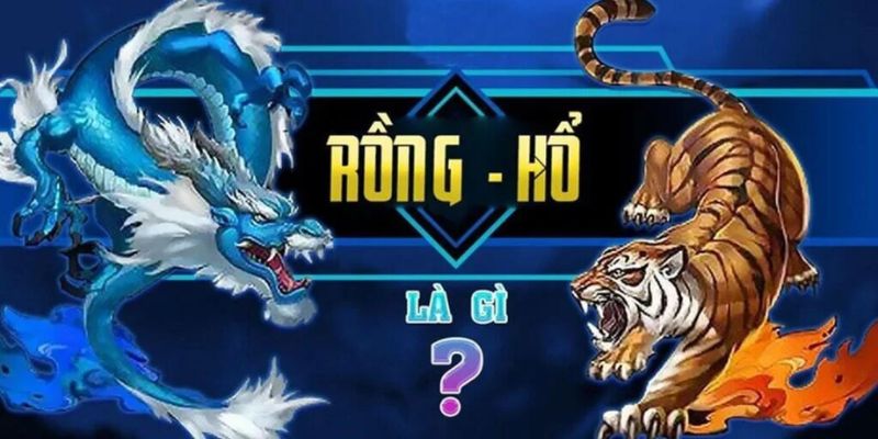 Giới thiệu vài nét về game rồng hổ