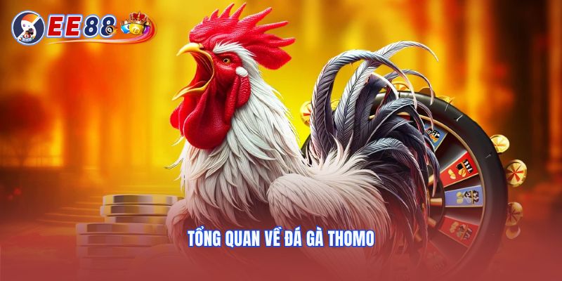 Tổng quan về đá gà Thomo