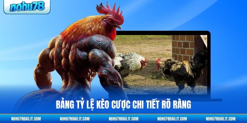 bang-ty-le-keo-cuoc-chi-tiet-ro-rang