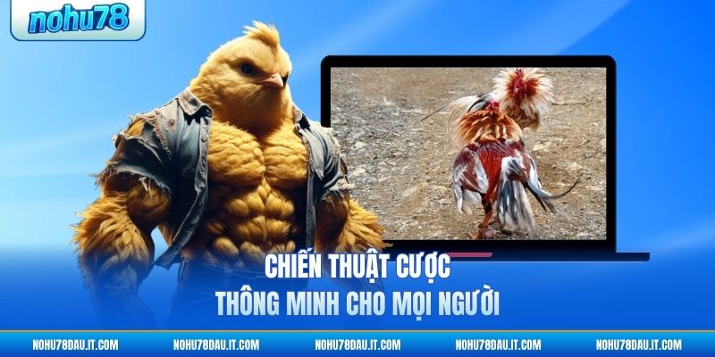 Chiến thuật cược thông minh cho thành viên