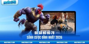 da-ga-no-hu-78-sanh-cuoc-dinh-nhat-2026